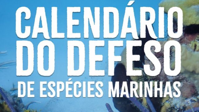Destaques